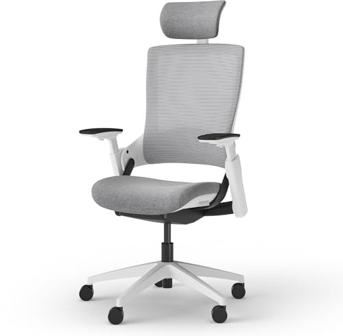 Ergotopia NextBack | Ergonomischer Bürostuhl gegen Rückenschmerzen | Schreibtischstuhl ergonomisch | Bürostuhl ergonomisch mit Kopfstütze & Armlehnen - 5 Jahre Garantie