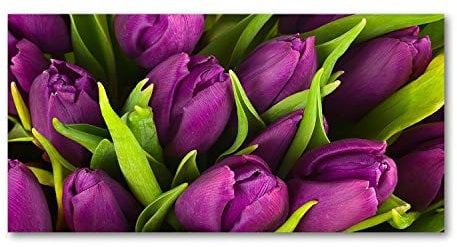 Tulup Glass Picture Wall Art - 100x50cm - Tempered Glass Decoration - Print for Living room Bedroom - Toughened Glass Image - Glass picture Wall Art - Purple tulips
