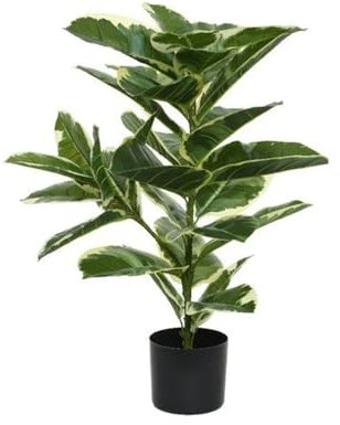 Kunstpflanze 76cm im Plastik Topf Gummibaum Ficus elastica Kunstpalme Plastikpflanzen Dekopflanzen