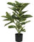 Kunstpflanze 76cm im Plastik Topf Gummibaum Ficus elastica Kunstpalme Plastikpflanzen Dekopflanzen