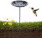 Vogeltränke Ständer – Vogelfutterspender für Garten, Vogelfutterschale mit Ständer, Vogeltränke, Vogeltränke für Garten, Rasen, Hof, Dekoration
