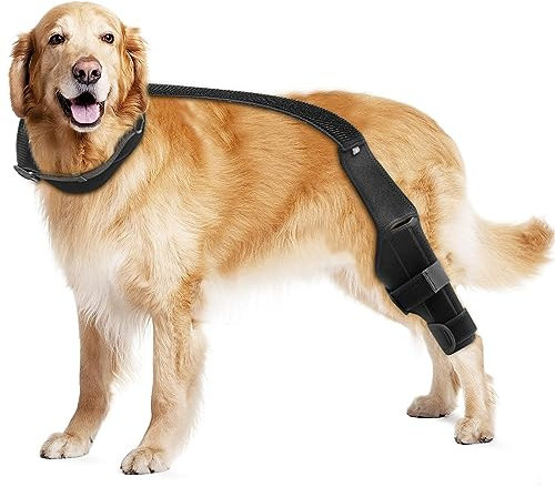 Kniebandage für Hunde mit Kreuzbandverletzungen,Patellaluxation oder Arthrose, Haustier Beinstützen für Hinterbein, Haustier Hinterbeinschutz für Arthritis, Beinoperationen, Linke und Rechtes Bein M