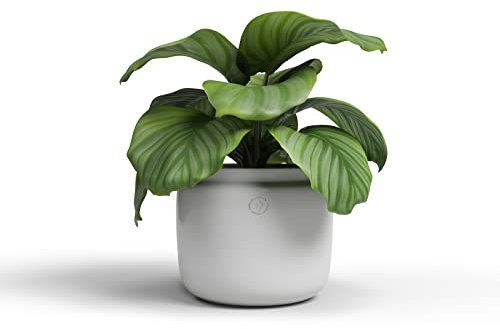 Artevasi Astrea Topf, Blumentopf, dekorativer Topf, Handgemachte Keramik, Farbe Weiß, 20cm