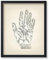 Poster Master Physiognomie und Palmistry Print 1899, 8x10 ungerahmter Kunstdruck, Palm Reading Guide Poster, Kunstdruck einer Vintage Scientific oder Pseudoscience Academia Medizinische Illustration