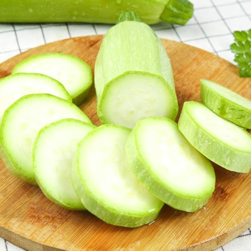 zucchini bio - alte sorten, indoor hochbeet exotisch, balkon 85samen
