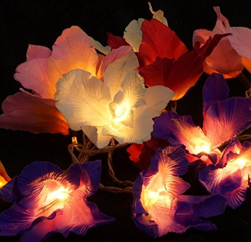 GURU SHOP Lotus Blüten LED Lichterkette. - Blüte Bunt, 6x6x350 cm