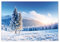 XXL Poster 100 x 70cm (S-824) Tiefverschneite Winterlandschaft mit schneebedeckten Bäumen unter blauem Himmel (Lieferung gerollt!)