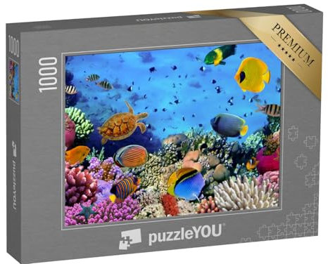 puzzleYOU: Puzzle 1000 Teile „Korallenkolonie im Roten Meer, Ägypten“ – aus der Puzzle-Kollektion Korallen, Unterwasser, Fische & Wassertiere