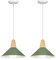 LIGKIN 2 Piezas Lámpara Colgante Industrial Moderna Ø25cm Pantalla Metal Madera Lámpara de Techo Retro E27 Iluminación para Cocina Comedor Cafetería, Verde Oscuro