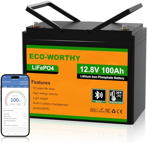 ECO-WORTHY 12V 100AH LiFePO4 Lithium Battery with Bluetooth,Low Temperature Protection,Max.1280Wh Energy, Group 24, Built-in 100A BMS, Perfect for Trolling Motor, RV, Boat, Solar Off-Grid