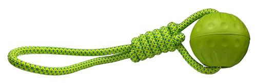 Bestpets Aquadog-Ball und Seil, Grün, Größe M