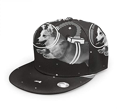 Oaieltj Unisex Baseballkappe Damen Herren Junge Mädchen Mode verstellbar 3D gedruckt Flat Bill Baseball Cap, Galaxy Space Eiscreme Astronaut Hund schwarz, One size