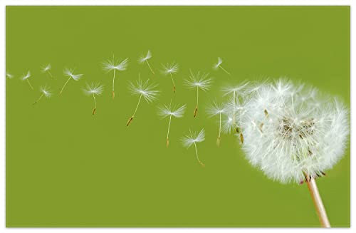 Wallario Rutschfester, Teppich mit Motiv - Fußmatte Pusteblume auf der Wiese mit fliegenden Samen, Größe 90 x 140 cm - flachgewebt
