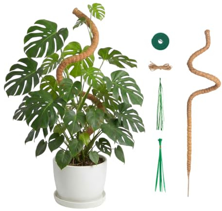 Tutor per Piante in Fibra di Cocco 120cm, Bastone per Monstera Pieghevole e Flessibile, Supporto per Piante da Interno Rampicanti con Kit di Accessori e Materiale di Legatura Incluso
