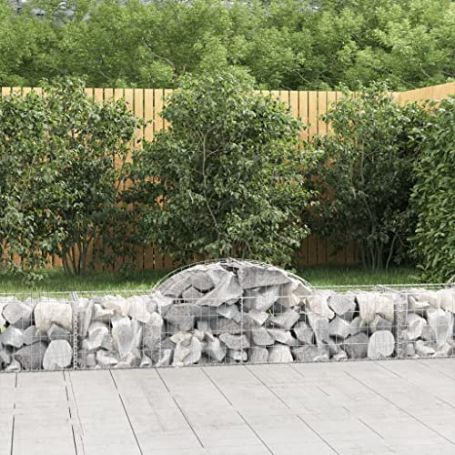 Gabionen mit Hochbogen 20 STK.,Garten-Hochbeete,Freistehende Hochbeete,Terrassen-Pflanzgefäße,Pflanzkübel für draußen,für Balkone und Gärten,200x50x40/60 cm Verzinktes Eisen