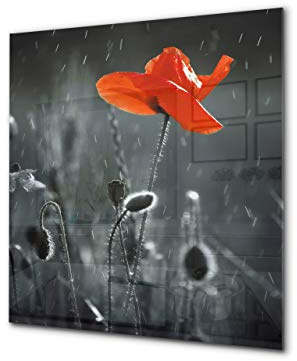 Glass Kitchen backsplash – Tempered Glass splashback – Photo backsplash BS03 Flower Series: Red Poppy