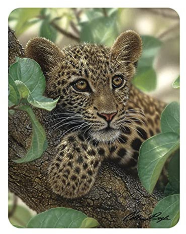 3D LiveLife Magnet - Baumumarmer von Deluxebase. Linsenförmige 3D Große Katze Kühlschrankmagnet. Dekoration für Kinder und Erwachsene mit Kunstwerk lizenziert von bekannt Künstler, Collin Bogle