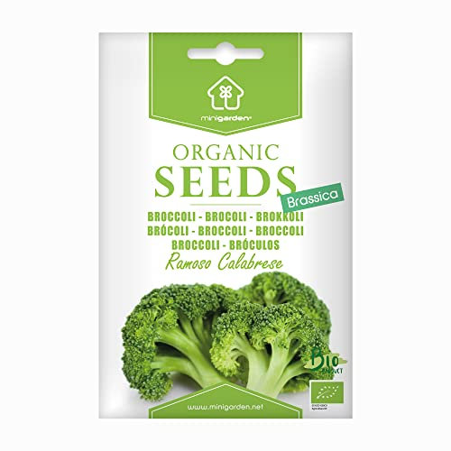 Brocoli Ramoso Calabrese, Graines certifiées biologiques prêt à Pousser Minigarden, 100% Naturelles sans Propagateurs Chimiques ni Génie Génétique, inclut entre 300 et 350 graines
