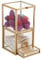 SUMTree 2 Etagen Wattestäbchen box aus Glas Make-up-Pinsel-Halter Beauty-Ei-Box Wattebauschholder Tupferhalter Süßigkeiten Organizer Organisation Zuhause Kosmetika Dekoration(Golden)