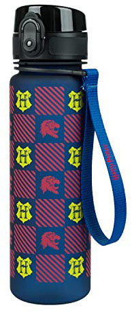 Baagl Kinder Trinkflasche Auslaufsicher Wasserflasche 500ml, Schule und Sport Flasche für Jungen Mädchen Tritan (Gryffindor)