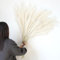 Larber 8pcs Faux Pampas Herbe 113cm, Imitation Peluche Herbe de la Pampa, Pampa Artificielle pour Vase Mariage Décoration Herbe