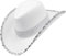 W WIDMANN MILANO Party Fashion - Partyhut Cowgirl / Cowboy, Westernhut, Accessoire Karneval, Junggesellenabschied