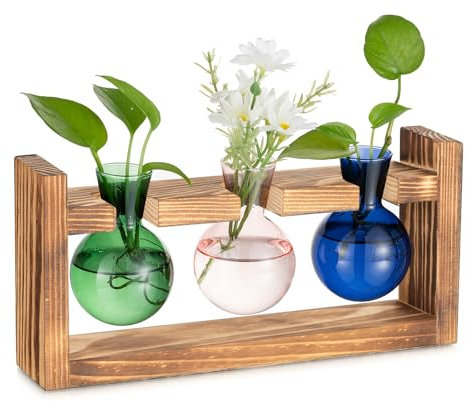 Hewory Propagation Station Geschenke für Frauen: Bunt Vasen Deko Terrarium Glas Kleine Vasen für Tischdeko Esstisch - Vintage Deko Vase Glas Ableger Pflanzen Glas mit Ständer für Deko Wohnzimmer