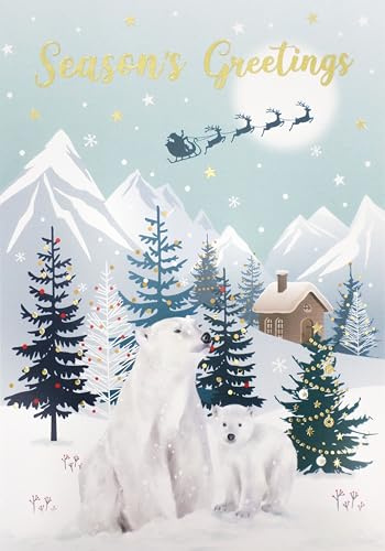 Surprise 3D Pop Out Polar Bears Christmas Pop Up Greeting Card XHH004S