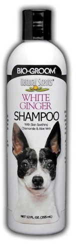 BIO-GROOM - White Ginger Shampoo - Hundeshampoo mit natürlichem Ingweraroma - Mit Aloe Vera, Kamille und Sojaprotein - Erfrischender Duft - Schäumt schnell - Einfaches Ausspülen - 354 ml