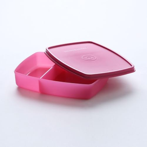 SIGNORA WARE to Go Lunchbox clevere Pause 340 ml Brotdose mit Trennwand Eco+ Schule Dose mit Abtrennung pink 340ml