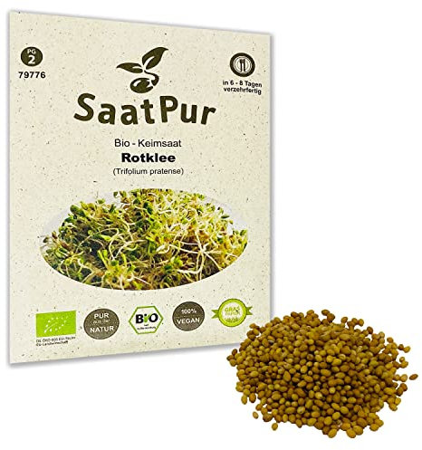 Rotklee BIO Keimsprossen von SaatPur - Keimsaat für Sprossen, Microgreens - 50g