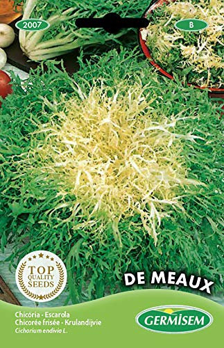 Germisem de Meaux Semillas de Achicoria 6 g