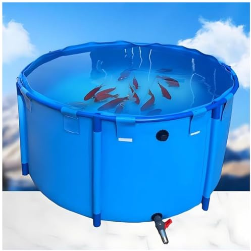 Piscina rotonda fuori terra per pesci – 250 cm x 80 cm in PVC ideale per l'agricoltura di koi e l'irrigazione del giardino, fontana ecologica per esterni