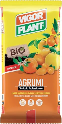Terreau pour Agrumes Professionnelle 20 L | Pierre Ponce volcanique pour Drainage | Substrat minéral pour Cactus, Plantes Grasses et bonsaï