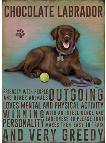 Keviewly Schokoladenbrauner Labrador Hund Retro Metall bemalt Kunst Poster Metall Eisen Malerei Blech Wandschilder Dekoration Schild Warnschild Bar Cafe Garage Party Spiel Zimmer Heimdekoration