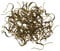 100 Pcs Antique Bronze Ear Hooks Brass Flat Fish Hooks Earring Findings Hypoallergenic Nickel Free Jewelry with Large Earring Hook