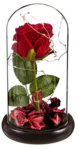 D-COVER Dôme en Verre à LED avec Rose Rouge – Rose sous Cloche avec Socle Noir – Idée Cadeau – Originale – Qualité – Objet de décoration avec LED à Offrir pour Mariage, Noce, fête et Autre