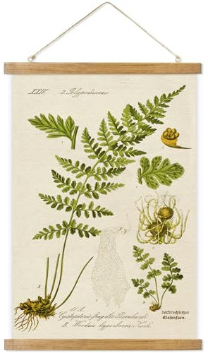 ABoby Vintage Illustrative Referenz Pflanze Hängende Poster Retro Stil Botanische Wandkunst Kunstdruck Leinen Holzrahmen Fertig zum Aufhängen
