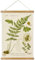 ABoby Vintage Illustrative Referenz Pflanze Hängende Poster Retro Stil Botanische Wandkunst Kunstdruck Leinen Holzrahmen Fertig zum Aufhängen