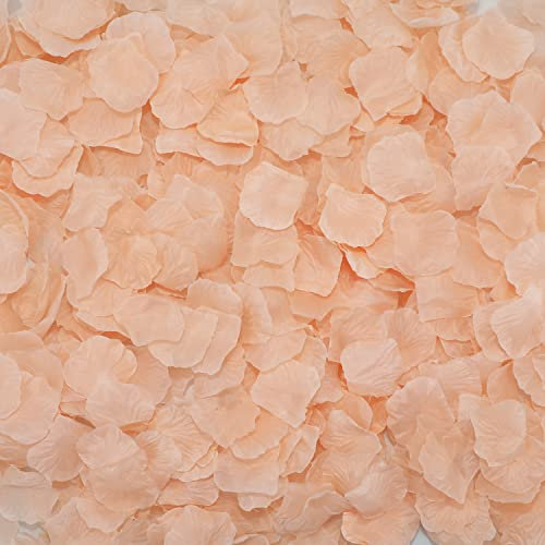 CODE FLORIST 2200 PCS Silk Flower Rose Petals for Wedding Decorations (Champagne)