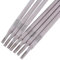 Purzen A102E（304） 3.2MM 2kg, Acier Inoxydable Soudure à Arche de 2.5 mm x 50 électrodes Cannes Cannes
