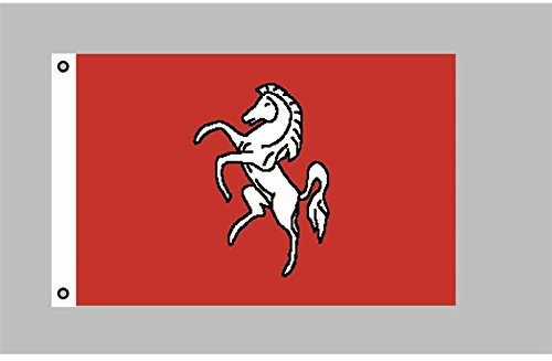 Everflag Flagge 90 x 150 : Kent