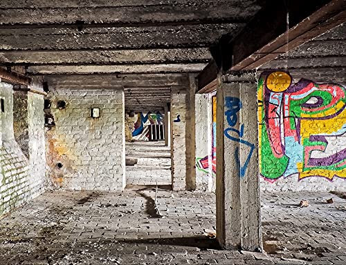hansepuzzle 64277 - Lost Places Puzzle 1000 Teile - Orte-Puzzle mit hochwertiger Aufbewahrung: Kartonbox und wiederverschließbarem Beutel - Format 60 × 46 cm