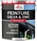 Peinture galva zinc toiture gouttière - 2.5 L Blanc - RAL 9003 - ARCANE INDUSTRIES