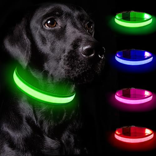Nepfaivy Leuchthalsband Hund USB Aufladbar - Hundehalsband Leuchtend mit Verstellbarer Länge für Große Hunde, LED Halsband Hund mit 3 Beleuchtungsmodi für Nacht Sicherheit, (Grün-L)