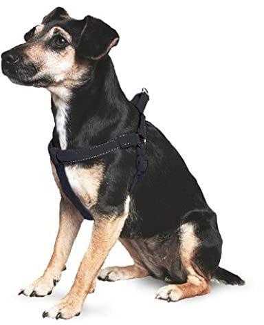Ancol Padded Nylon Dog Harness with Reflective Stitching - Black Comfort Walking Accessory for Dogs Puppies - XL Size 88 - 120 cm