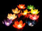 10 x Wasserlaterne Wasserlampion mit Teelicht Papierlaterne Lotusblüte Blütenteelicht 29 cm