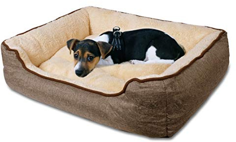 Hundebett 58x46 cm waschbar – kuschelig weich, rutschfest mit Rand in Beige | Hundebett 58x46 cm mit weichem Innenkissen, erhöhtem Rand und waschbarem Bezug – gemütlicher Schlafplatz für kleine Hunde XL.