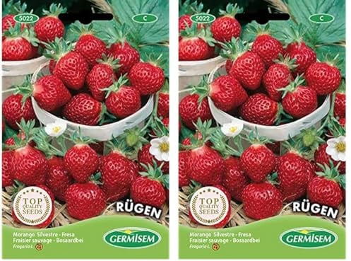 Germisem Rügen Semillas de Fresa 0.3 g, EC5022 (Paquete de 2)