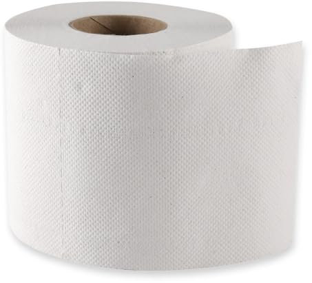 Franz Mensch HygoClean Toilettenpapier, Kleinrolle, 2-lagig, natur | aus Recyclingpapier, 64 Rollen je 250 Blatt, besonders Weiches Klopapier, WC-Papier,